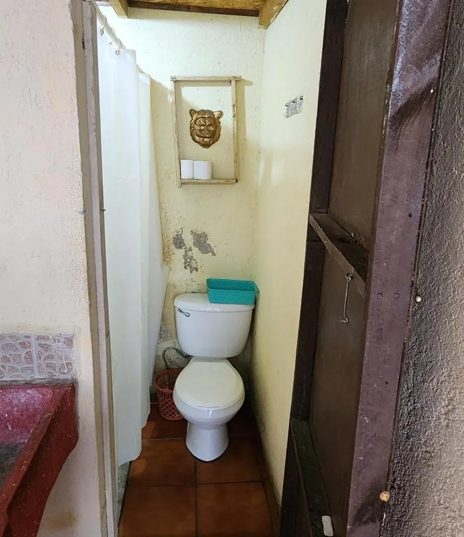 Jaguar Basic Accommodation Antigua Apartment